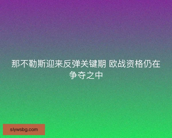 那不勒斯迎来反弹关键期 欧战资格仍在争夺之中